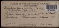Image Associated With the Occurence